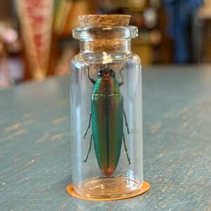 Jewel Beetle Oddity Bottle